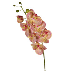 Imagem de HASTE DECORATIVA DE ORQUÍDEA VERDE ROSA EM PLÁSTICO MOLDÁVEL 74X14CM - GRILLO - Grillo Ltda
