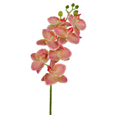 Imagem de HASTE DECORATIVA DE ORQUÍDEA VERDE ROSA EM PLÁSTICO MOLDÁVEL 70X13CM - GRILLO - Grillo Ltda