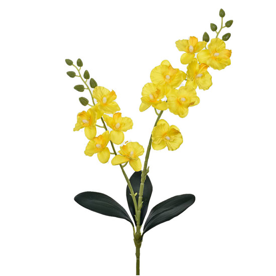 Imagem HASTE DECORATIVA DE ORQUÍDEA AMARELA COM FOLHAS E RAIZ EM PLÁSTICO MOLDÁVEL - GRILLO