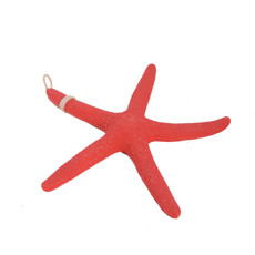Imagem de ADORNO ESTRELA RESINA COLORIDO 25CM 48324 GRILLO - Grillo Ltda