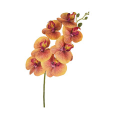 Imagem de HASTE DECORATIVA DE ORQUÍDEA AMARELO OUTONO EM PLÁSTICO MOLDÁVEL 78X15 CM - GRILLO - Grillo Ltda