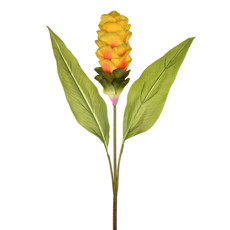 Imagem de HASTE DECORATIVA DE BROMÉLIA TROPICAL LARANJA EM PLÁSTICO MOLDÁVEL 79X20 CM - GRILLO - Grillo Ltda
