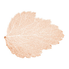 Imagem de LUGAR AMERICANO DE PLÁSTICO AUTUMN LEAF ROSÊ 47X38CM  - Coliseu Presentes Ltda