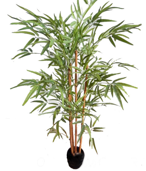 Imagem PLANTA BAMBU DECORATIVA 4 TRONCOS E FOLHAGEM VERDE EM PLÁSTICO 136X70 CM - GRILLO