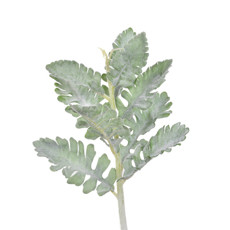 Imagem de HASTE DECORATIVA DE FOLHAS COLEUS FLOCADA VERDE EM PLÁSTICO MOLDÁVEL 35X12CM - GRILLO - Grillo Ltda