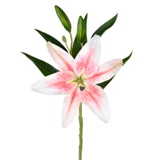 Imagem de HASTE DECORATIVA DE LÍRIO SILVESTRE 3D ROSA EM PLÁSTICO MOLDÁVEL 44X27CM - GRILLO - Grillo Ltda