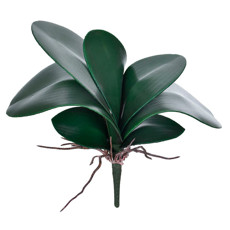 Imagem de BUQUÊ DECORATIVO DE FOLHAS DE ORQUÍDEA VERDE COM RAIZ EM PLÁSTICO MOLDÁVEL - GRILLO - Grillo Ltda