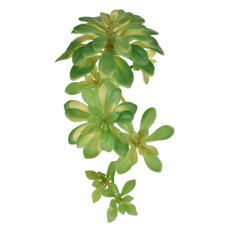 Imagem de PLANTA SUCULENTA ECHEVERIA VERDE DECORATIVA EM PLÁSTICO 14X12CM - GRILLO - Grillo Ltda