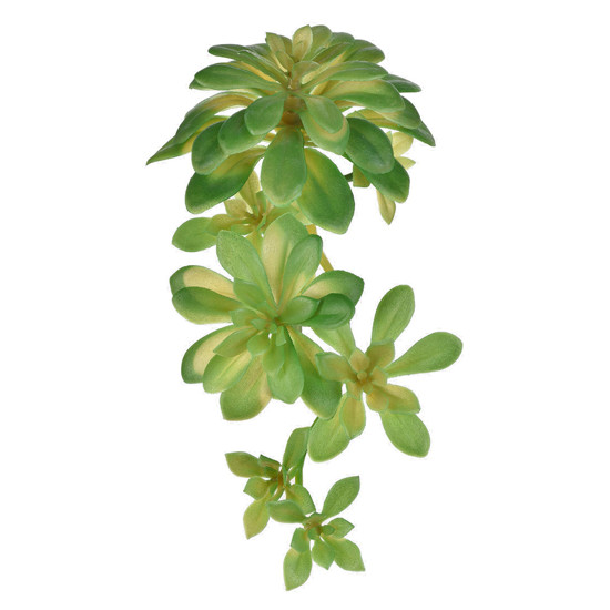 Imagem PLANTA SUCULENTA ECHEVERIA VERDE DECORATIVA EM PLÁSTICO 14X12CM - GRILLO