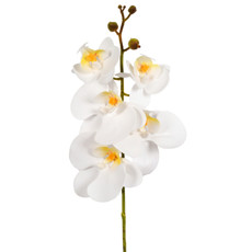 Imagem de HASTE DECORATIVA DE ORQUÍDEA PHALAENOPSIS CREME EM PLÁSTICO MOLDÁVEL - GRILLO - Grillo Ltda