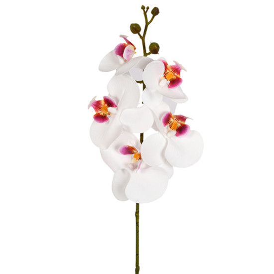 Imagem HASTE DECORATIVA DE ORQUÍDEA PHALAENOPSIS BRANCA EM PLÁSTICO MOLDÁVEL - GRILLO