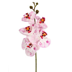 Imagem de HASTE DECORATIVA DE ORQUÍDEA PHALAENOPSIS PÚRPURA EM PLÁSTICO MOLDÁVEL - GRILLO - Grillo Ltda