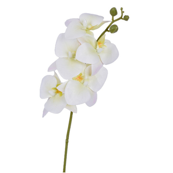 Imagem HASTE DECORATIVA DE ORQUIDEA COR CREME EM PLÁSTICO MOLDÁVEL 15X43CM - GRILLO