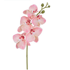 Imagem de HASTE DECORATIVA DE ORQUÍDEA ROSA VERDE EM PLÁSTICO MOLDÁVEL 43X15 CM - GRILLO - Grillo Ltda