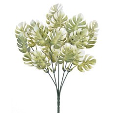 Imagem de BUQUÊ DE FOLHAS COSTELA DE ADÃO CREME VERDE EM PLÁSTICO MOLDÁVEL 34X15CM - GRILLO - Grillo Ltda