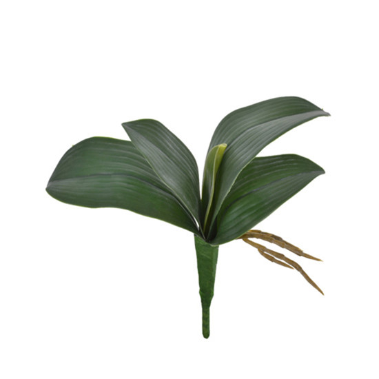 Imagem BUQUÊ DECORATIVO DE FOLHAS DE ORQUÍDEA VERDE COM RAIZ EM PLÁSTICO MOLDÁVEL - GRILLO