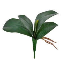 Imagem de BUQUÊ DECORATIVO DE FOLHAS DE ORQUÍDEA VERDE COM RAIZ EM PLÁSTICO MOLDÁVEL - GRILLO - Grillo Ltda