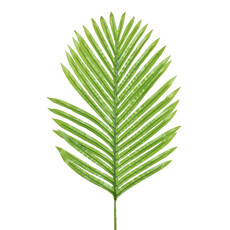 Imagem de HASTE DECORATIVA DE FOLHA DE PALMEIRA VERDE CLARO EM PLÁSTICO 90X48 CM - GRILLO - Grillo Ltda