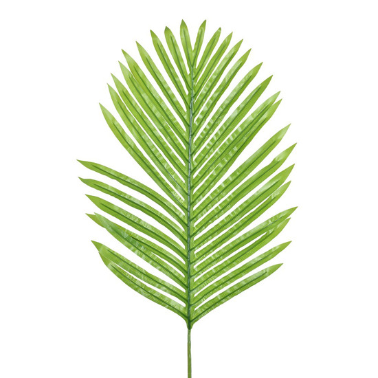 Imagem HASTE DECORATIVA DE FOLHA DE PALMEIRA VERDE CLARO EM PLÁSTICO 90X48 CM - GRILLO