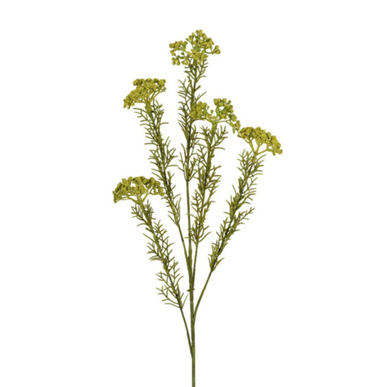 Imagem HASTE GYPSO DO CAMPO X5 VERDE 11X60CM GRILLO 53406