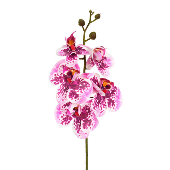 Imagem HASTE DECORATIVA DE ORQUÍDEA PHALAENOPSIS VINHO EM PLÁSTICO MOLDÁVEL - GRILLO
