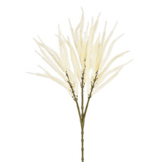 Imagem de HASTE CATTAIL X3 BEGE 25X65CM GRILLO 55310 - Grillo Ltda