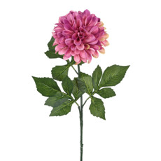 Imagem de HASTE DECORATIVA DE DÁLIA FRANTÔNIO FUCSIA EM PLÁSTICO MOLDÁVEL 75X15 CM - GRILLO - Grillo Ltda