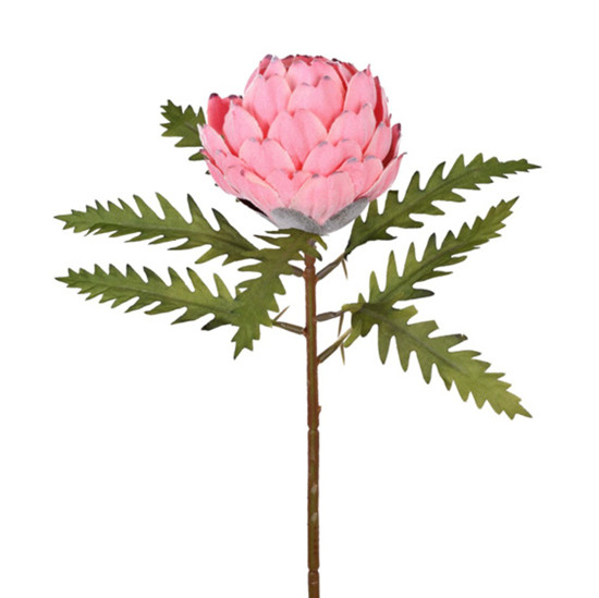 Imagem HASTE PROTEA COM FOLHAS ROSA 27X48CM GRILLO 55377