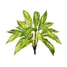 Imagem de BUQUÊ DECORATIVO DE FOLHAS VERDE E AMARELO EM PLÁSTICO MOLDÁVEL 43X25CM - GRILLO - Grillo Ltda