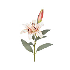 Imagem de HASTE DECORATIVA DE LÍRIO TIGRE CREME EM PLÁSTICO MOLDÁVEL 82X16CM - GRILLO - Grillo Ltda