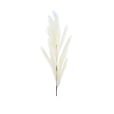 Imagem de HASTE PAMPAS X13 BEGE 31X112CM - GRILLO 54634 - Grillo Ltda