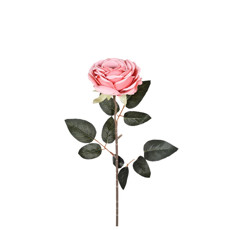 Imagem de HASTE ROSA IMPERIAL ROSA ESCURO 9,5X62CM GRILLO 54615 - Grillo Ltda