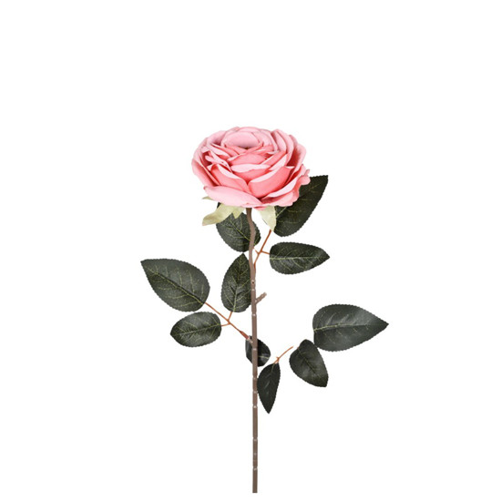 Imagem HASTE ROSA IMPERIAL ROSA ESCURO 9,5X62CM GRILLO 54615