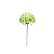Imagem de HASTE BOTÃO DE CRISÂNTEMO DECORATIVA VERDE EM PLÁSTICO MOLDÁVEL 60X9CM - GRILLO - Grillo Ltda