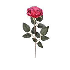 Imagem de HASTE ROSA IMPERIAL VERMELHO OUTONO 9,5X62CM GRILLO 54615 - Grillo Ltda