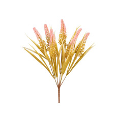 Imagem de BUQUÊ CATTAIL X7 ROSA 12X38CM - GRILLO 55283 - Grillo Ltda