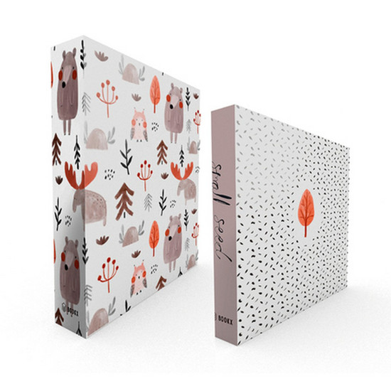 Imagem BOOK BOX KIT 2PC SMALL SEED 26X20X7CM