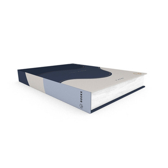 Imagem BOOK BOX ORGANIC WAVE BLUE I 36X27X5CM