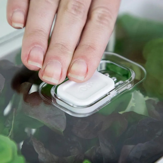 Imagem ORGANIZADOR DE GELADEIRA 5L COM CESTO CLEAR FRESH 13X30X15CM - OU