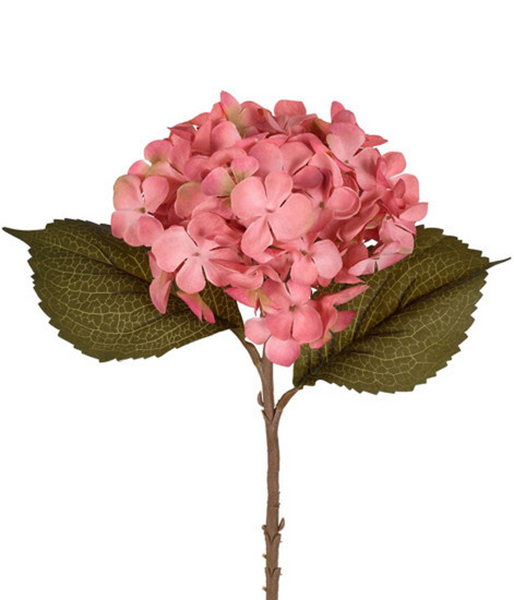 Imagem HSTE HORTENSIA SILVESTRE BLUSH 18X45CM GRILLO 53580