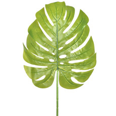 Imagem de HASTE DECORATIVA DE FOLHA DE COSTELA DE ADÃO VERDE CLARO EM PLÁSTICO 34X29CM - GRILLO - Grillo Ltda