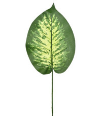 Imagem de HASTE DECORATIVA DE FOLHA DIFENBACHIA VERDE EM PLÁSTICO MOLDÁVEL 47X20 CM - GRILLO - Grillo Ltda