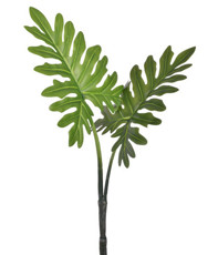 Imagem de HASTE FOLHA PHILO X2 VERDE 24X68CM GRILLO 51761 - Grillo Ltda