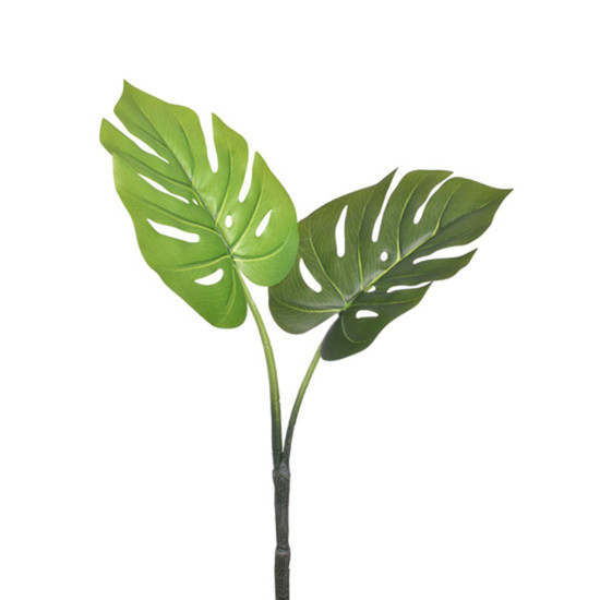 Imagem HASTE COSTELA DE ADAO X2 VERDE 28X68CM GRILLO 51758