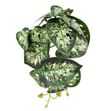 Imagem de BUQUÊ FOLHAS REAL TOQUE X18 M1 20X15CM GRILLO 56300 - Grillo Ltda