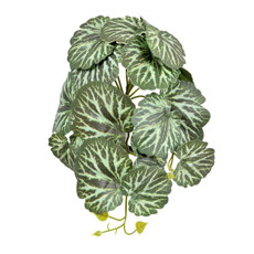 Imagem de BUQUÊ FOLHAS REAL TOQUE X18 M6 20X15CM GRILLO 56300 - Grillo Ltda