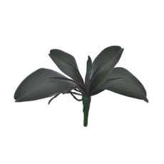 Imagem de BUQUÊ DECORATIVO DE FOLHAS DE ORQUÍDEA VERDE COM RAIZ EM PLÁSTICO MOLDÁVEL - GRILLO - Grillo Ltda