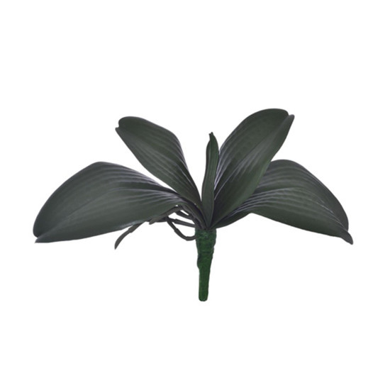 Imagem BUQUÊ DECORATIVO DE FOLHAS DE ORQUÍDEA VERDE COM RAIZ EM PLÁSTICO MOLDÁVEL - GRILLO