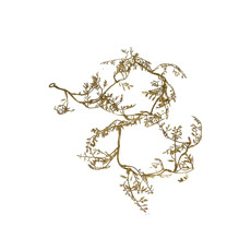 Imagem de TIRA DE GALHO SECO DOURADO COM GLITTER 17,7CM X 6,3CM X 17,7CM - GRILLO 57278 - Grillo Ltda