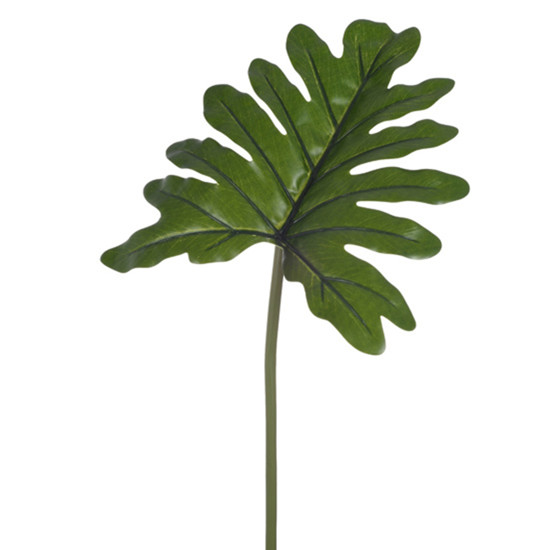 Imagem HASTE DE FOHA FILODENDRO VERDE TOQUE REAL EM PLÁSTICO MOLDÁVEL 54X20 CM - GRILLO